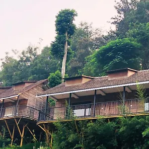 Dream Coconut Munnar