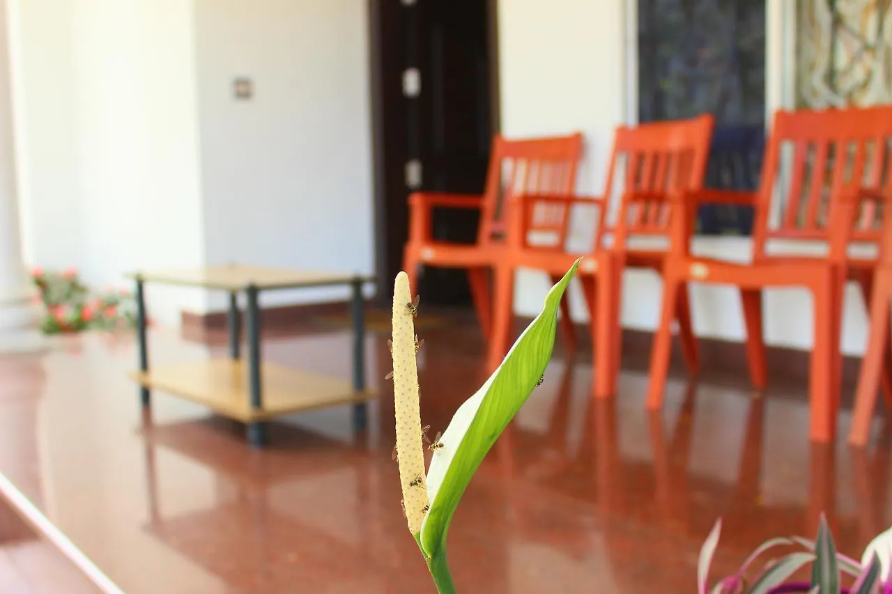 Biovalley Resort Munnar